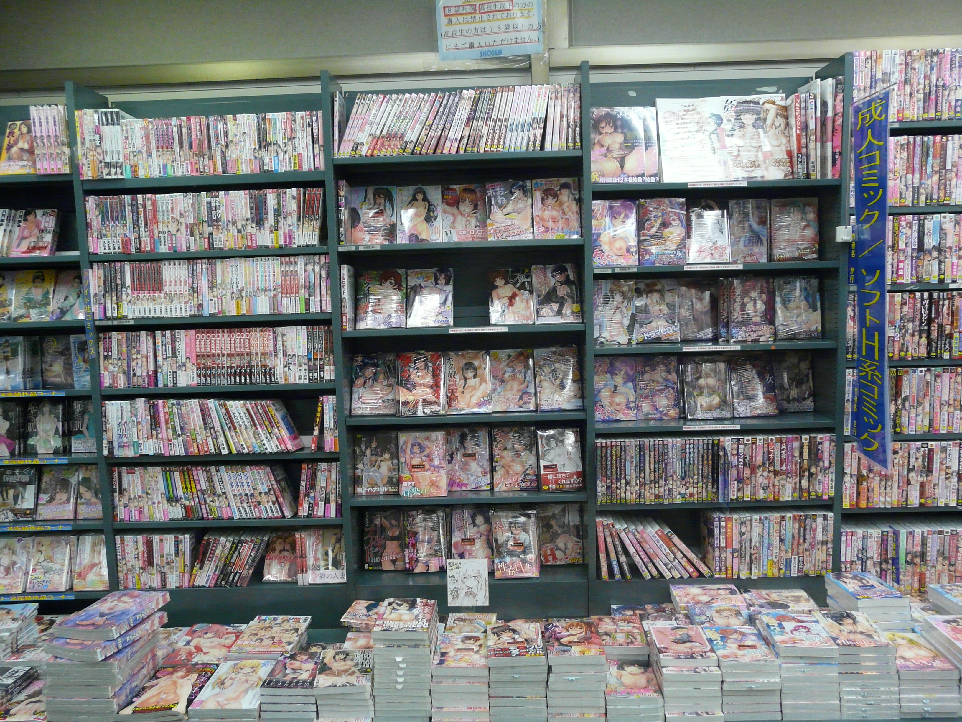 Hentai E Books - Hentai - Wikipedia