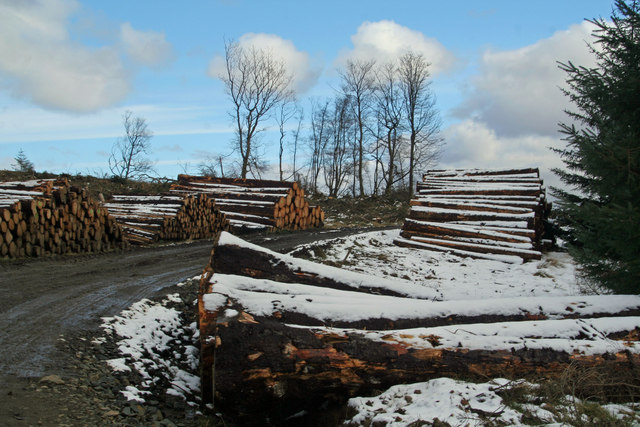 File:Anderson's Plantation - geograph.org.uk - 734889.jpg