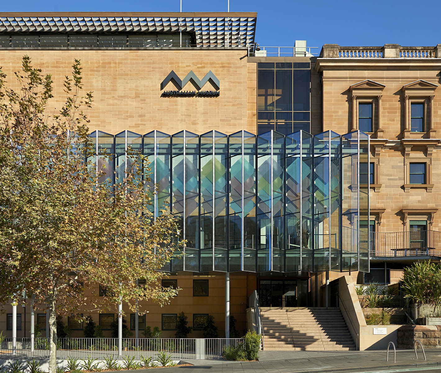 Australian Museum - Wikipedia