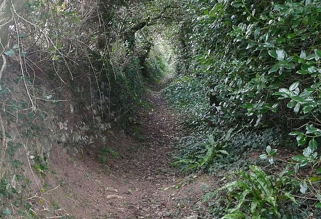 File:Bridleway towards New Downs - geograph.org.uk - 2699831.jpg