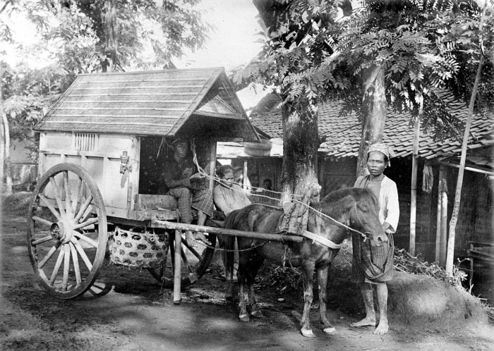 File:COLLECTIE TROPENMUSEUM Reiskar Java TMnr 10013799.jpg