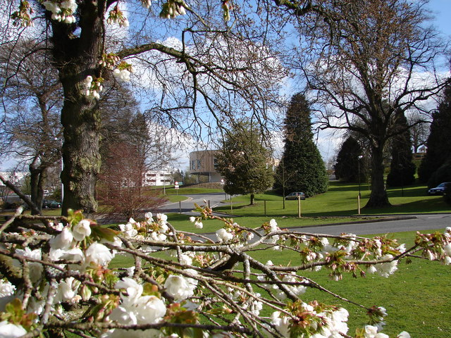 File:Crichton Grounds, Dumfries - geograph.org.uk - 769582.jpg