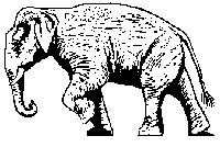 File:Elephant se logo white.gif