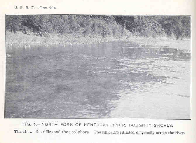 File:FMIB 34751 North Fork of Kentucky River, Doughty Shoals.jpeg