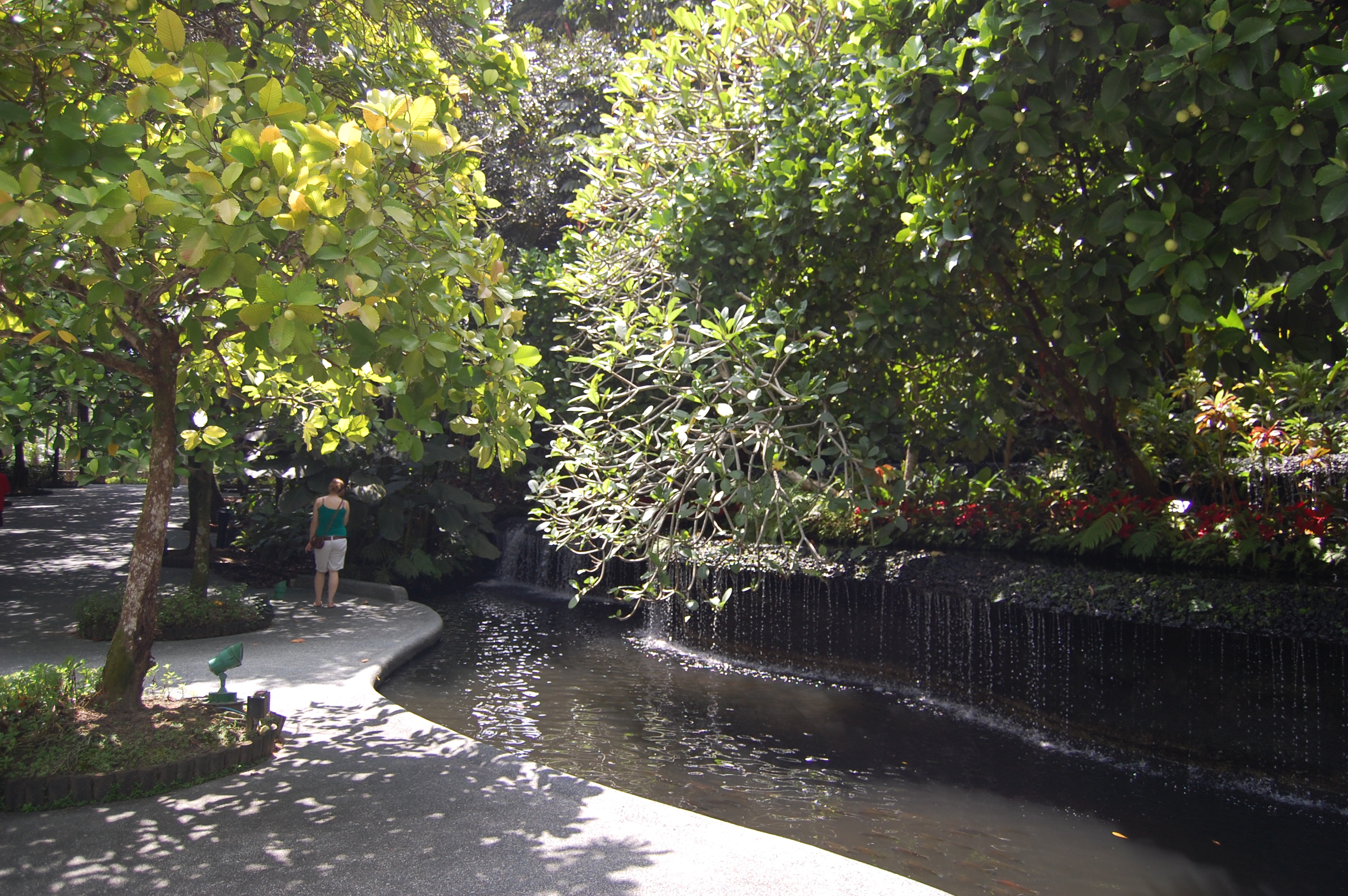 File Fountain Near The Visitor Centre Singapore Botanic Gardens