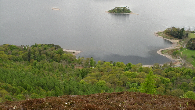 Great Wood - geograph.org.uk - 1855329