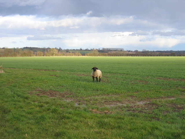 File:Guardian of the Footpath - geograph.org.uk - 145643.jpg