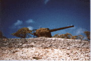 File:Japanese Artillery on Wake.jpg