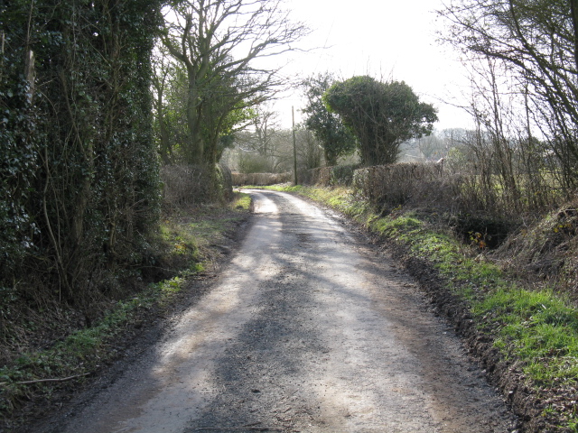 File:Lane To Easton - geograph.org.uk - 1701716.jpg