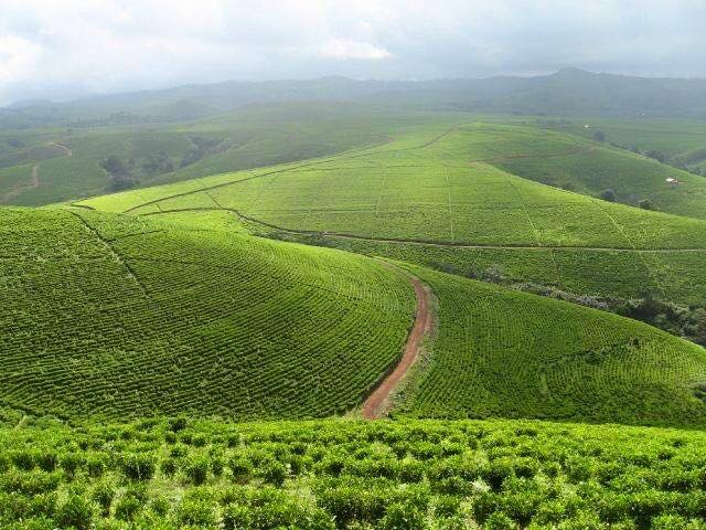 Fișier:Mambila Plateau of Taraba State.jpg