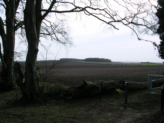 File:Meggs Hill from the Roman Road. - geograph.org.uk - 337361.jpg