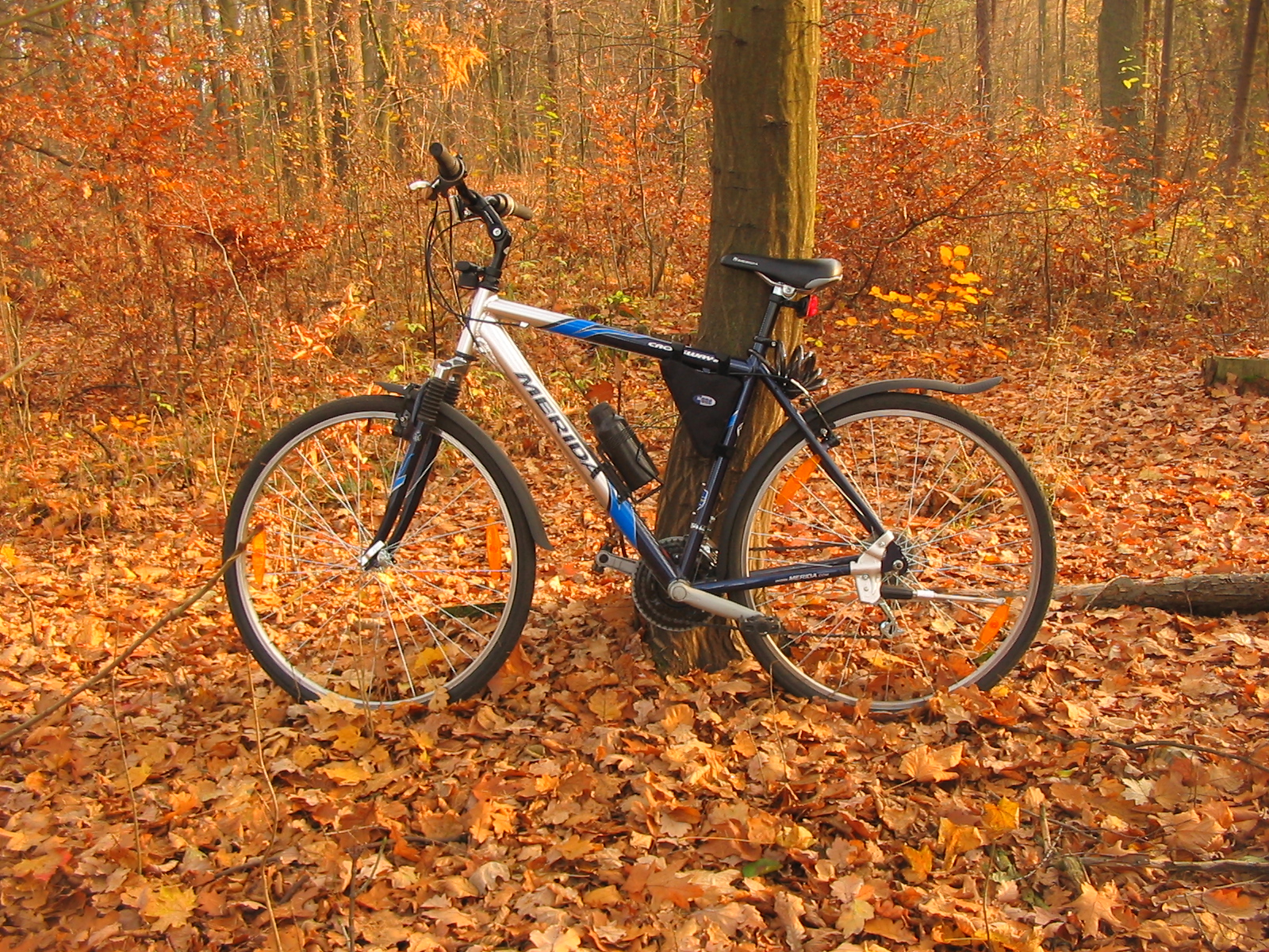 black bike