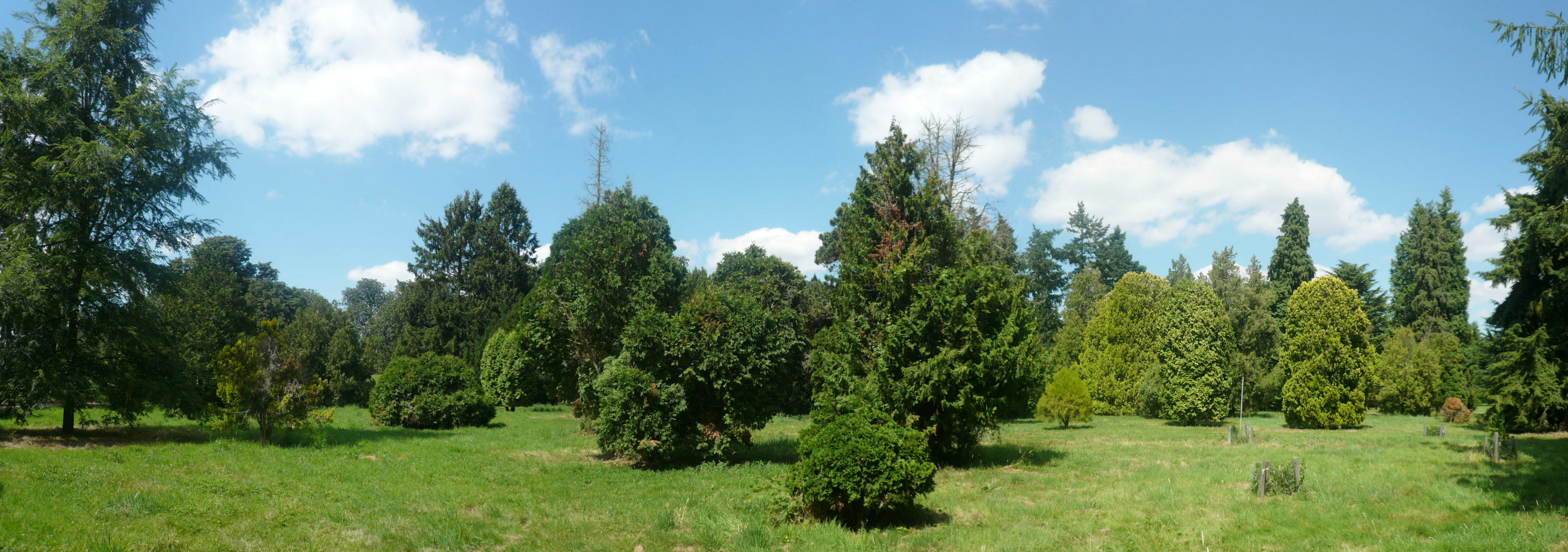 Arboretum de Versailles - Chèvreloup  France Île-de-France Yvelines Le Chesnay-Rocquencourt 78150