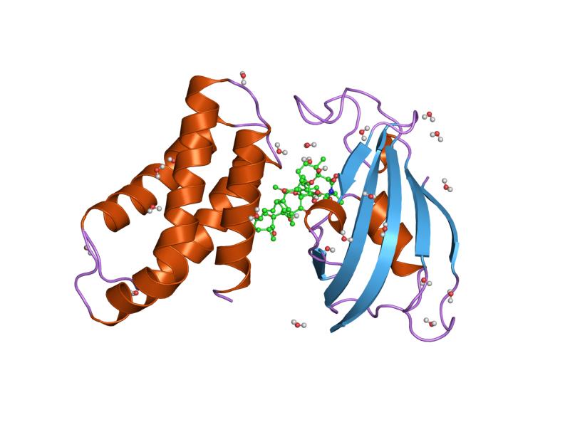 File:PDB 1fap EBI.jpg