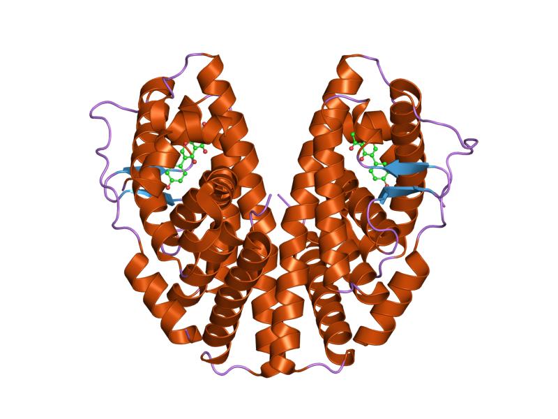 File:PDB 1x7j EBI.jpg