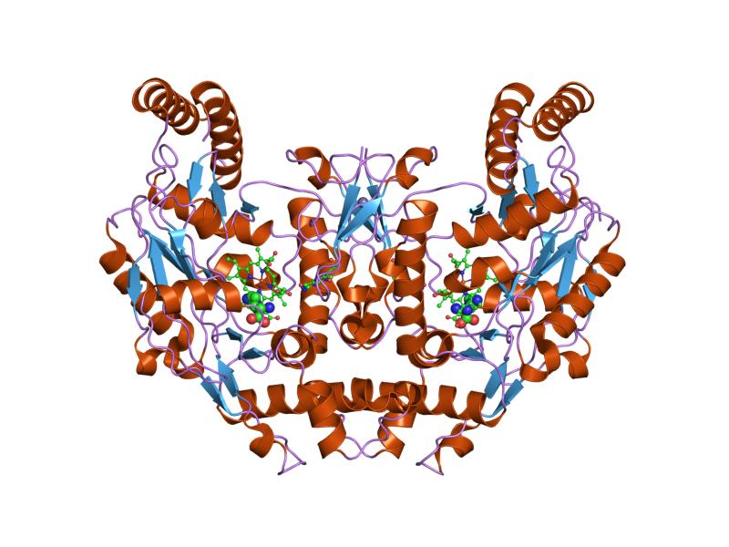 File:PDB 2g6i EBI.jpg