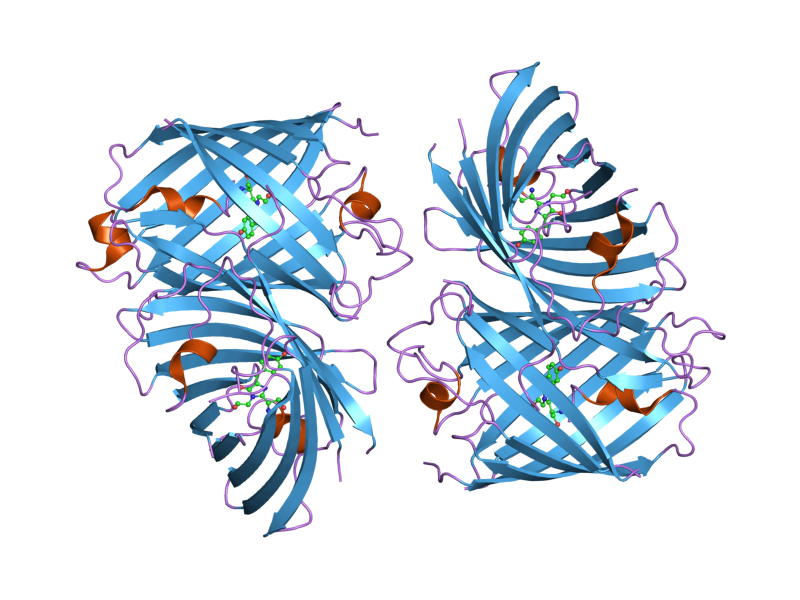 File:PDB 2rh7 EBI.png