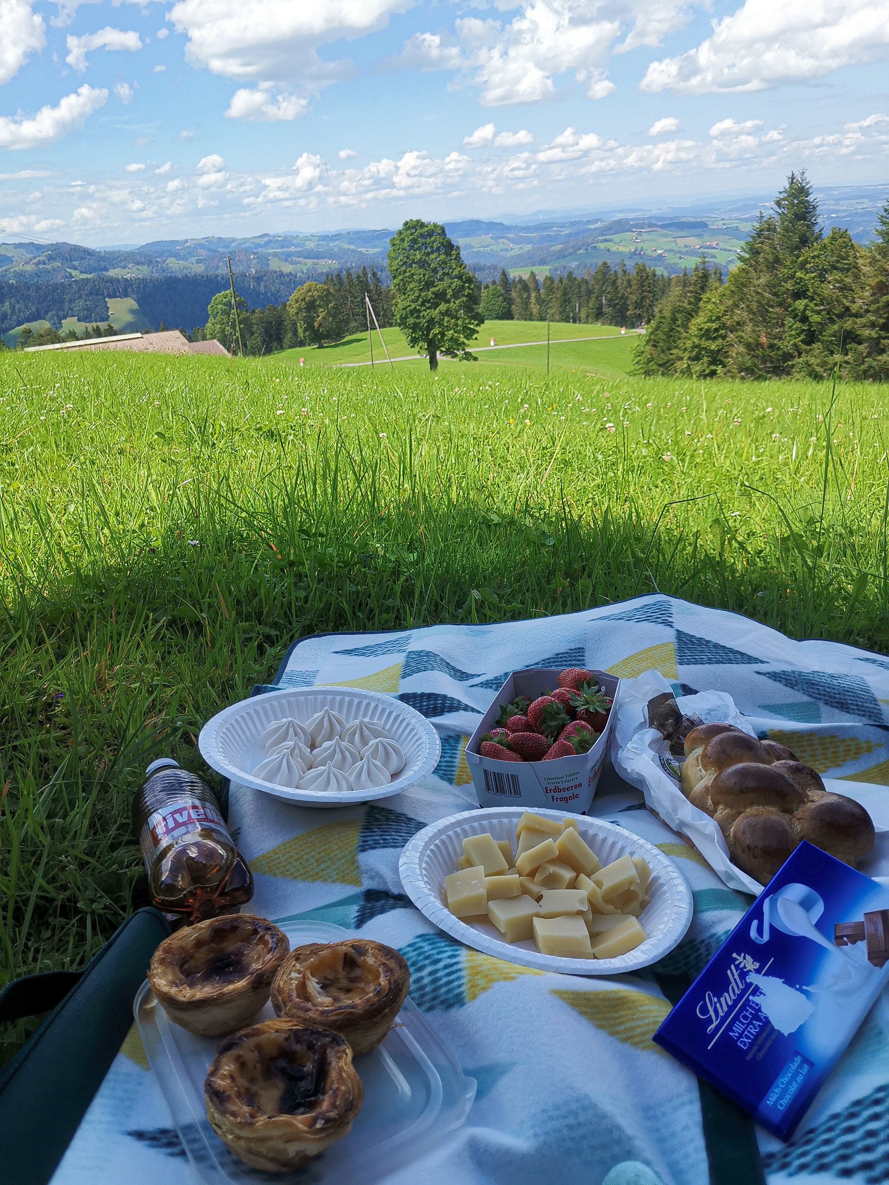 Пикник. Пикник в Ташкенте в горах. Agriculture in Switzerland. Тип пикник