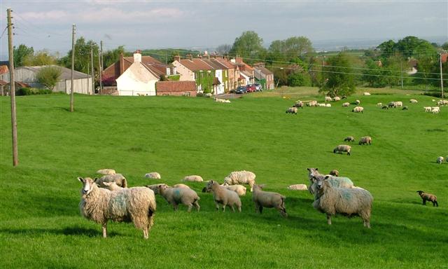 Newby, Hambleton