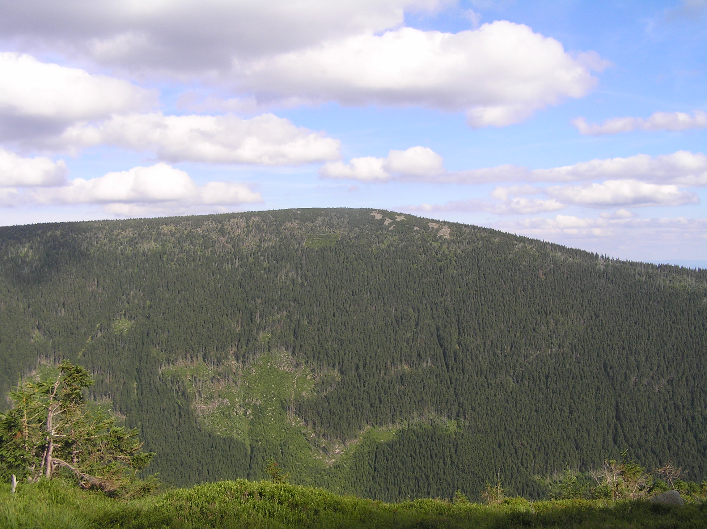 Trekking in the Krkonoše Mountains