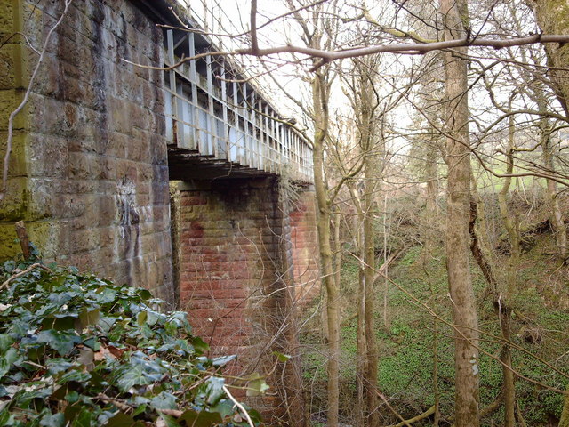 File:Railway viaduct in Dunrod Glen - geograph.org.uk - 145774.jpg