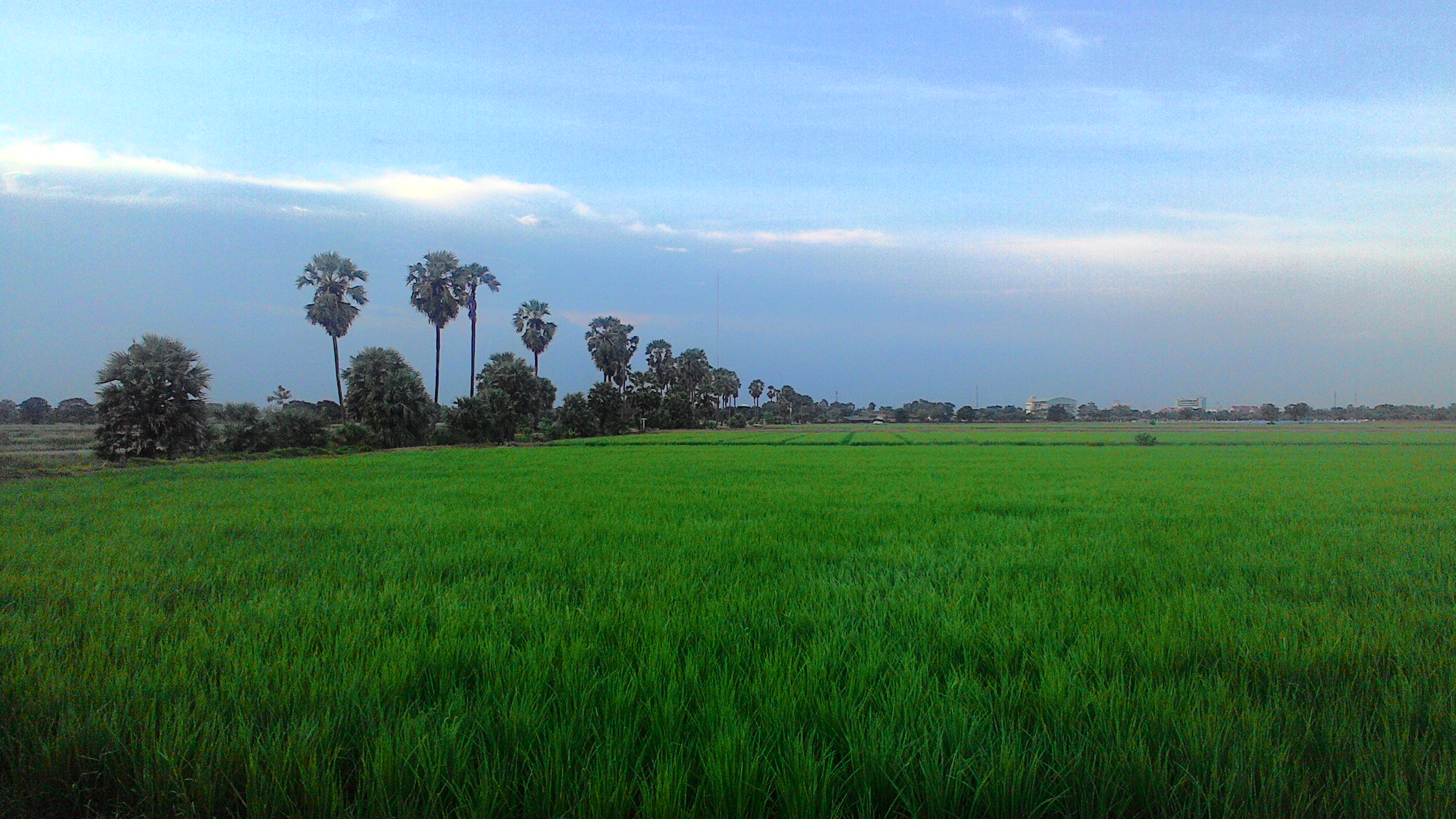 File Rangsit Thanyaburi District Pathum Thani Thailand Panoramio 13 Jpg Wikimedia Commons