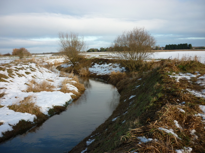 River Foulness near Holme-on-Spalding-Moor - geograph.org.uk - 2198041