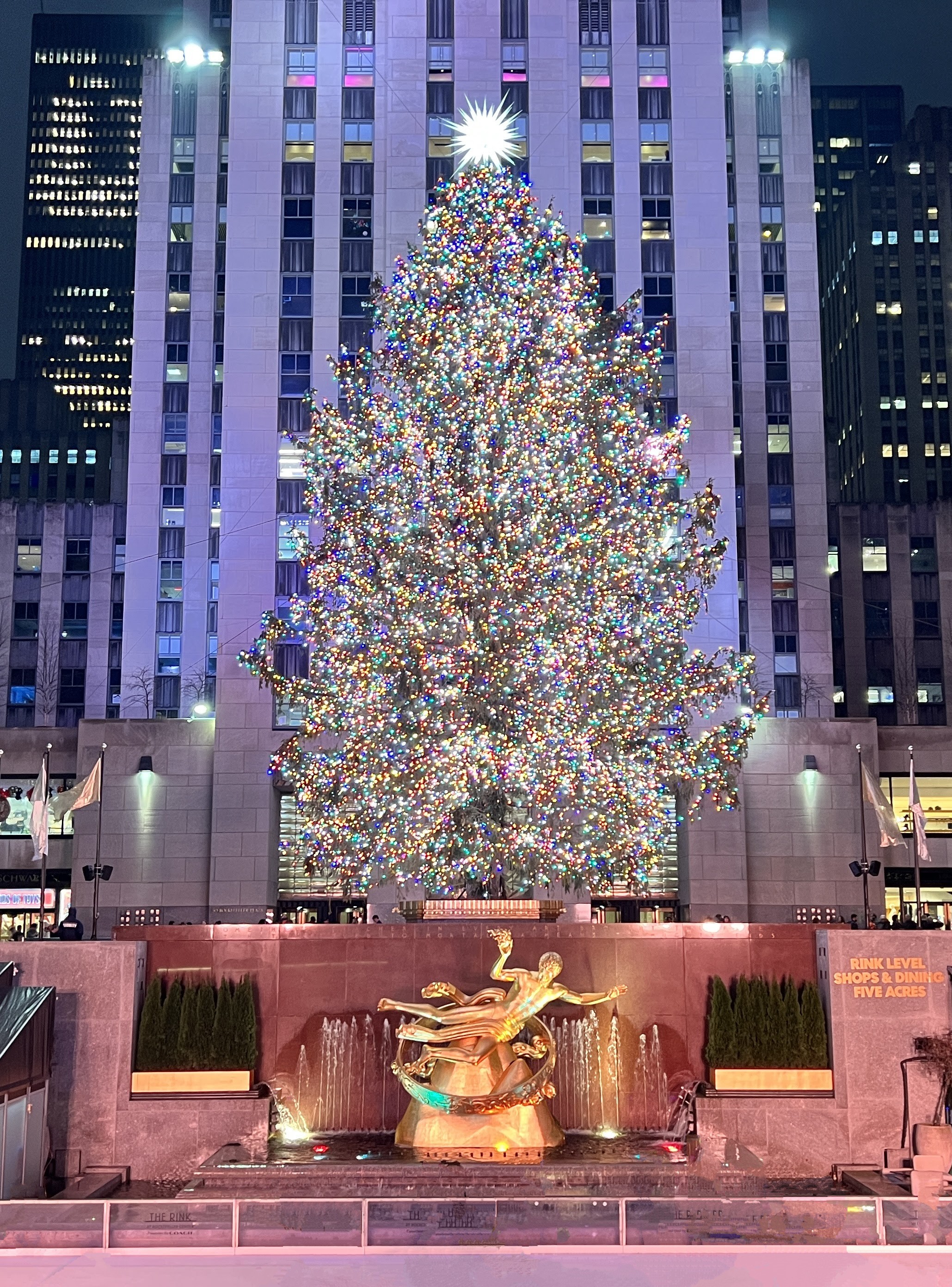 A Multi-Story Christmas Tree Is Towering Over Fifth Avenue