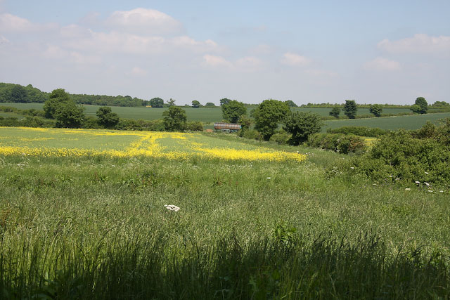 File:Stour Valley - geograph.org.uk - 1065259.jpg