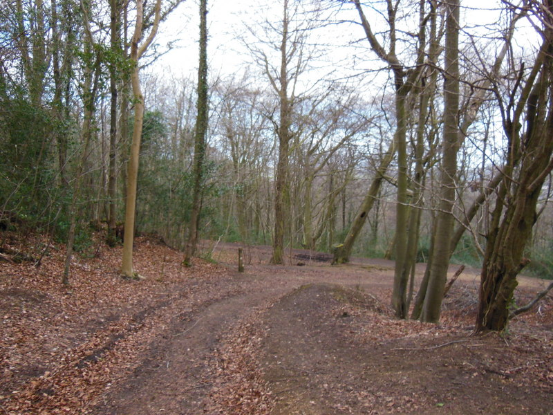 The Cotswold Way on Cooper's Hill - geograph.org.uk - 3440464