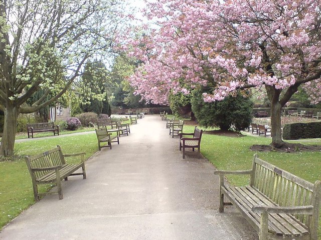 File:The main avenue, Rawdon Crematorium - geograph.org.uk - 408636.jpg