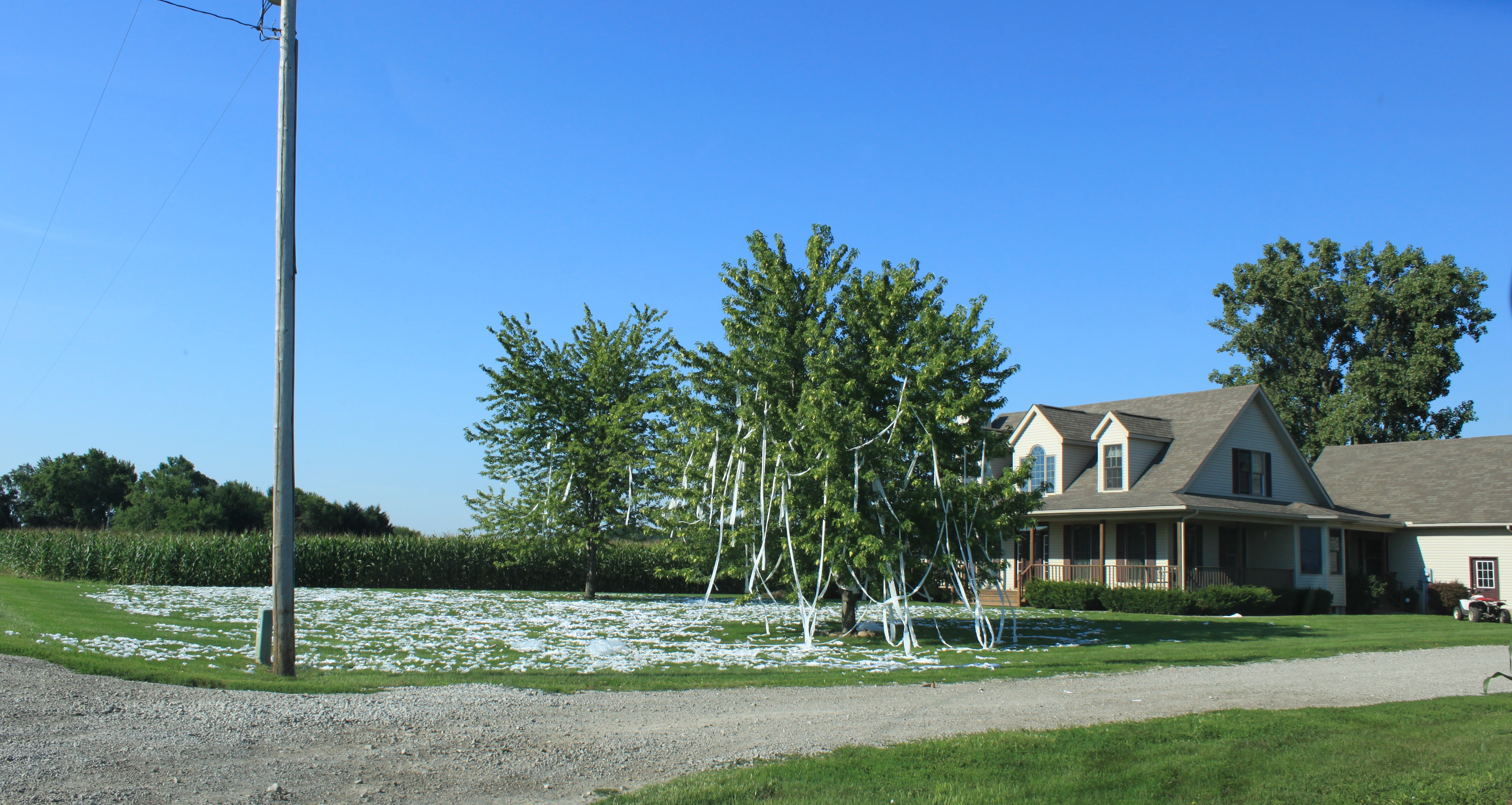 My friends house keeper did this with the toilet paper rolls. I