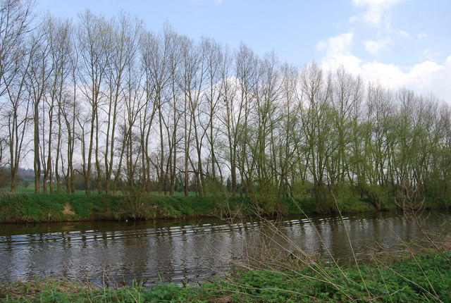 File:Trees along the riverbank, River Medway north of Yalding - geograph.org.uk - 1267422.jpg