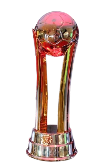 2022 Copa América Femenina - Wikipedia