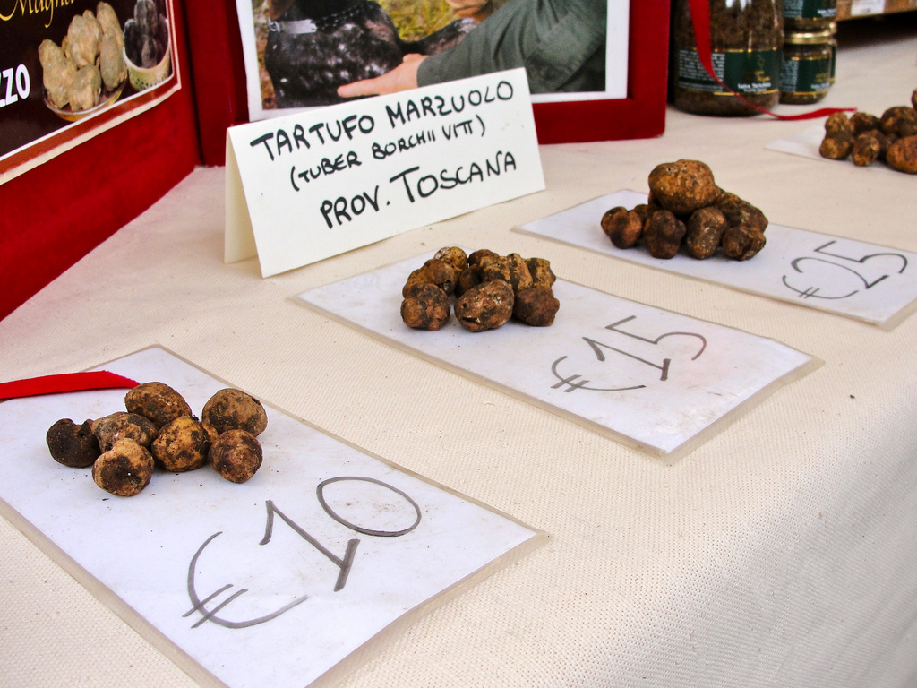 Truffes de Toscane, Tuber borchii vitt. ou Tuber Albidum Pico, dite truffe blanche de Mars