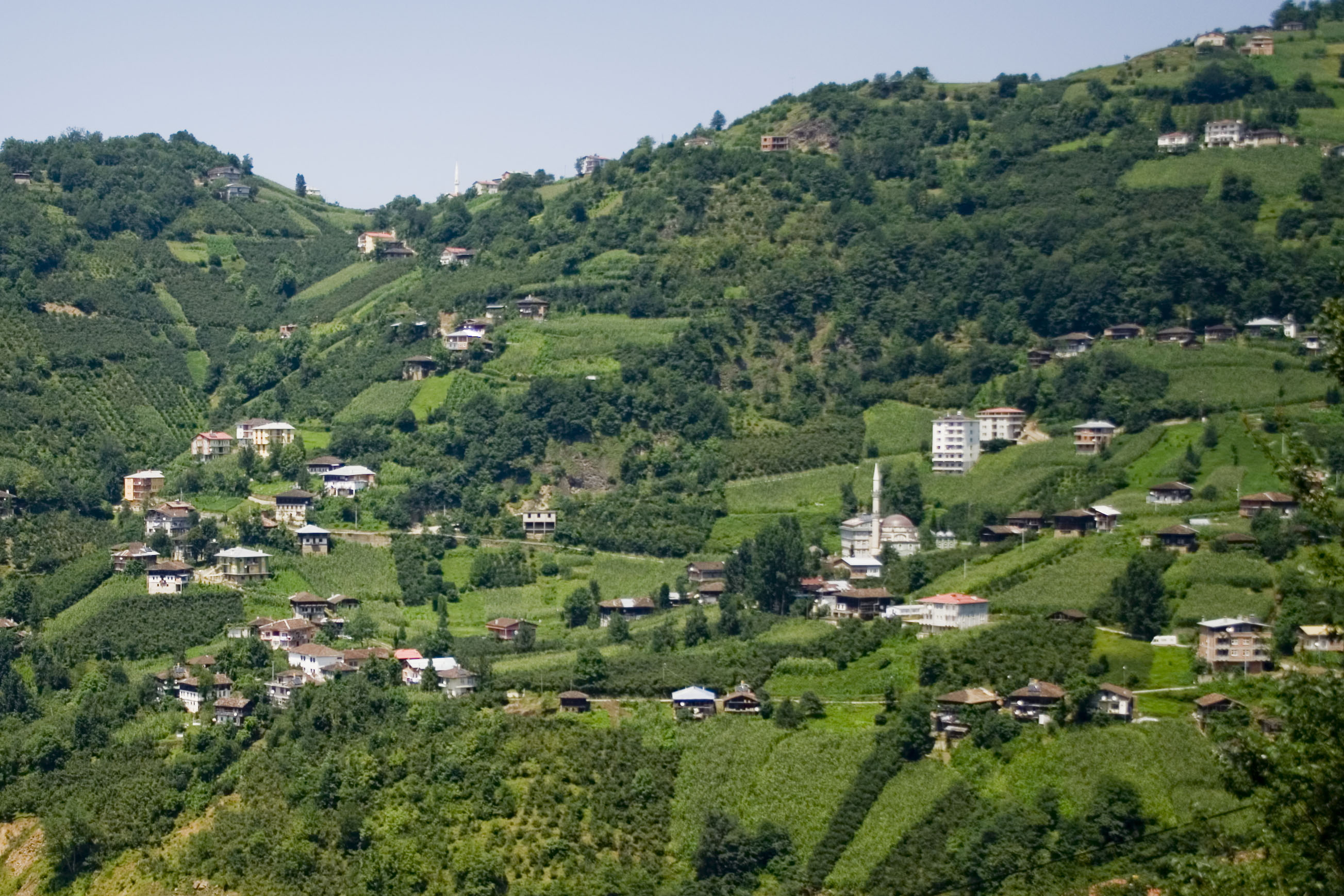  Trabzon Province  Wikiwand