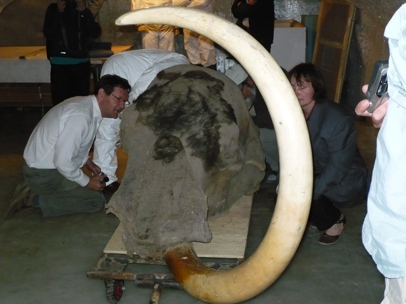 File:Yukagir mammoth.jpg