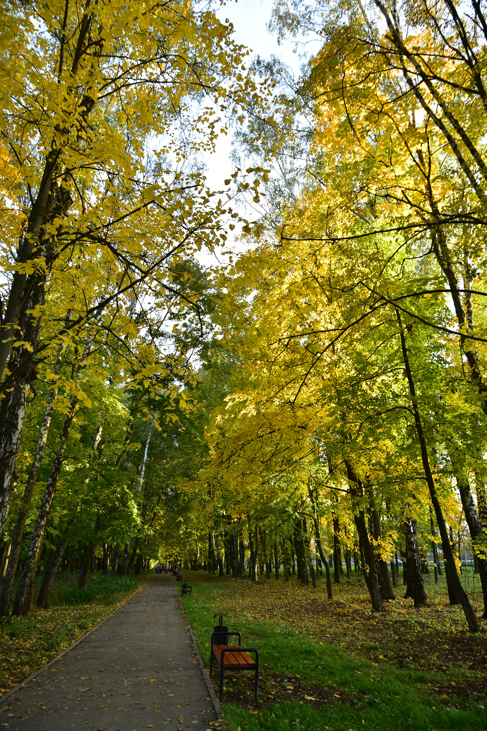 Парк Белоусова Тула