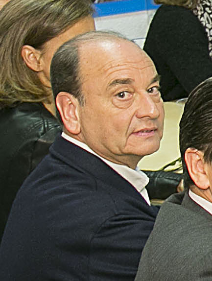 File:(Fernando Martínez Vidal) Reunión de Cristina Cifuentes con el Grupo Municipal del Partido Popular en el Ayuntamiento de Madrid (34266480056) (cropped).jpg