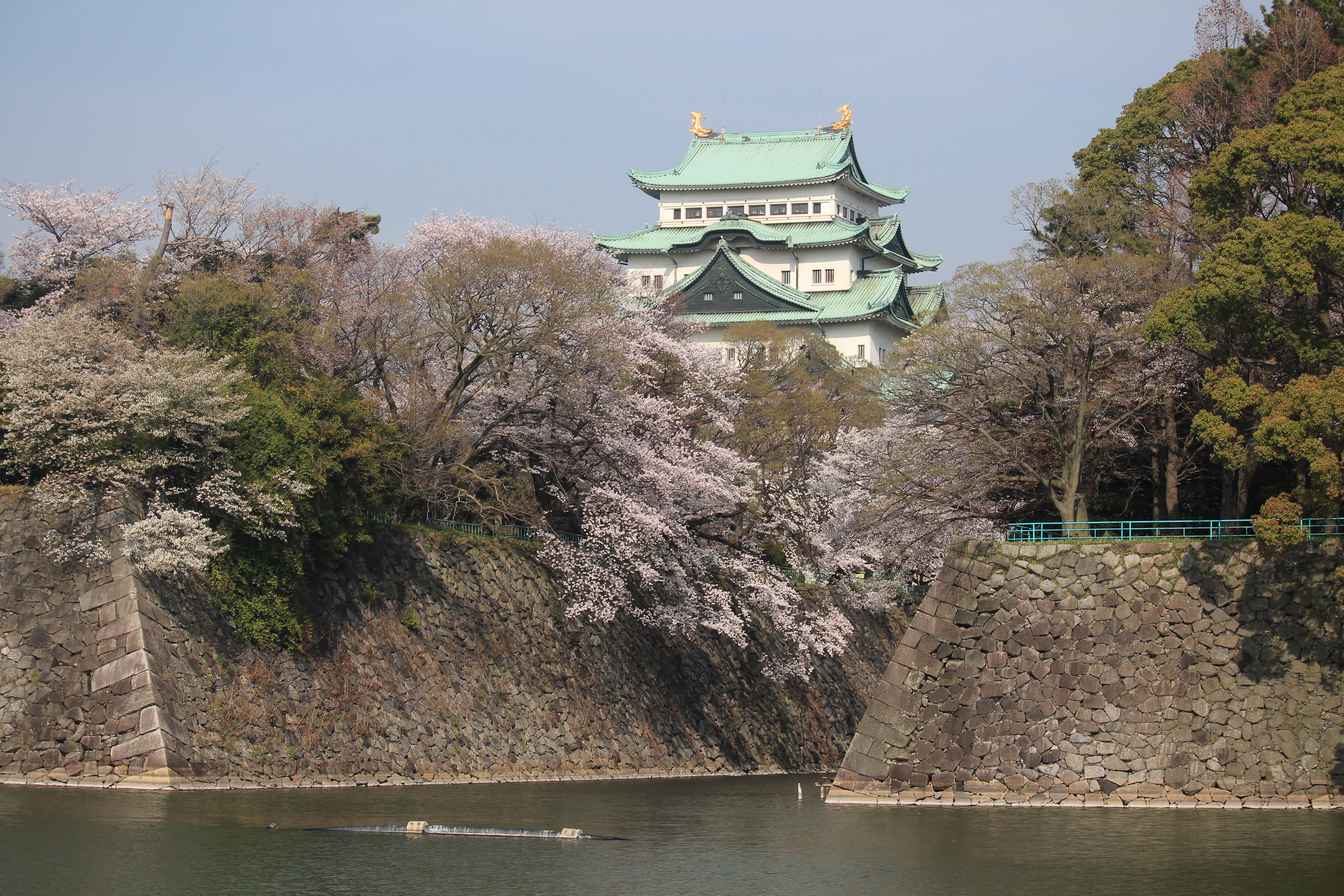 File 名古屋城nagoya Castle 15 03 31 Jpg 维基百科 自由的百科全书