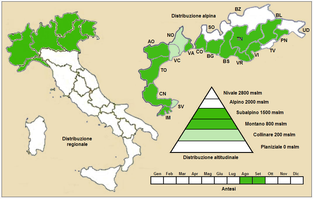 https://upload.wikimedia.org/wikipedia/commons/a/a2/ACONITUM_ANTHORA_-_Distribution_%28Italy%29.PNG