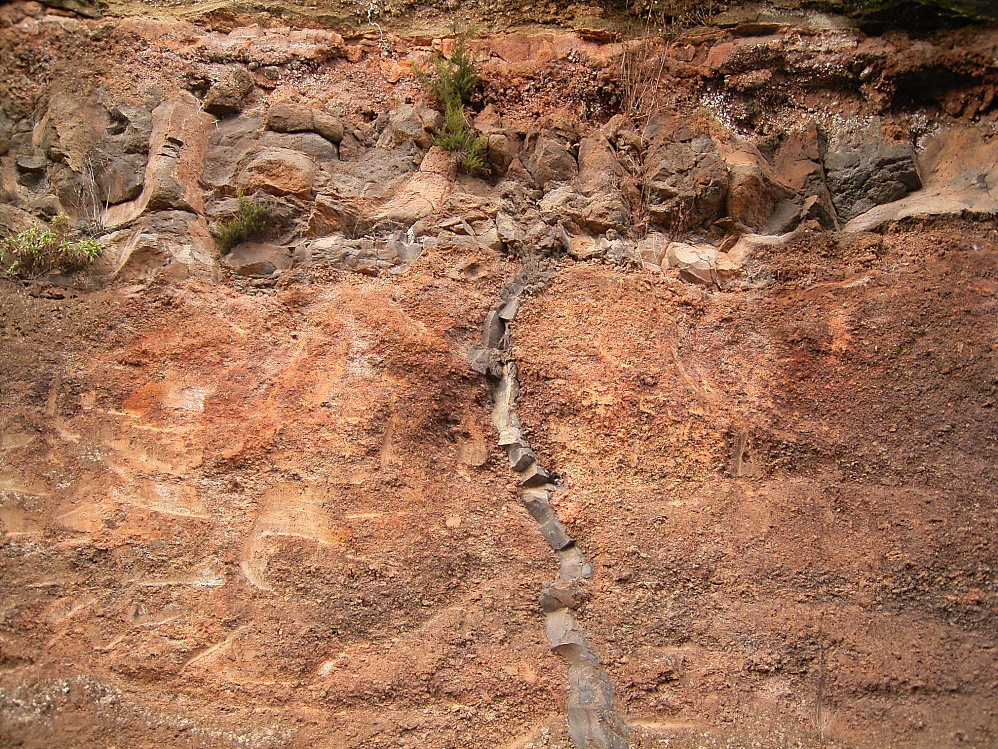Magmatic dikes of La Palma.