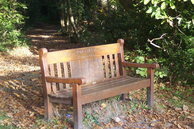 File:Bench on the Greensand Way in Stubbs Wood - geograph.org.uk - 1549170.jpg