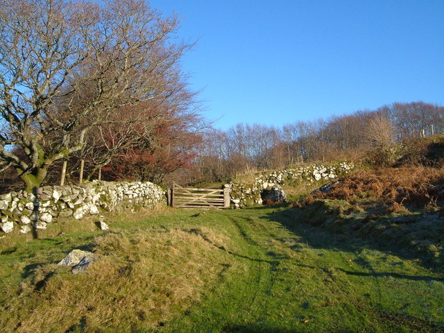 File:Beside the bridleway above Cudlipptown - geograph.org.uk - 297387.jpg