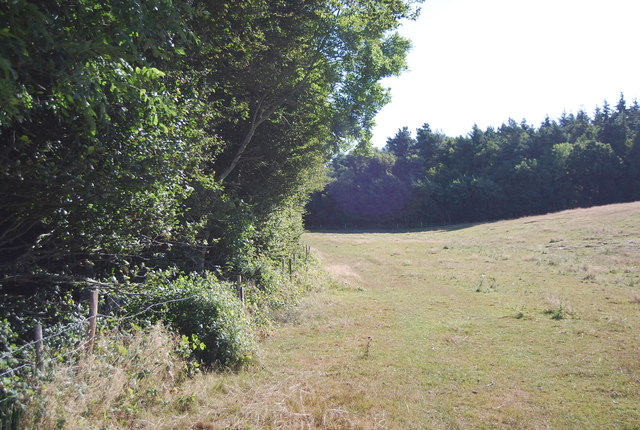 File:Bridleway along the edge of Wellhead Wood - geograph.org.uk - 3671835.jpg