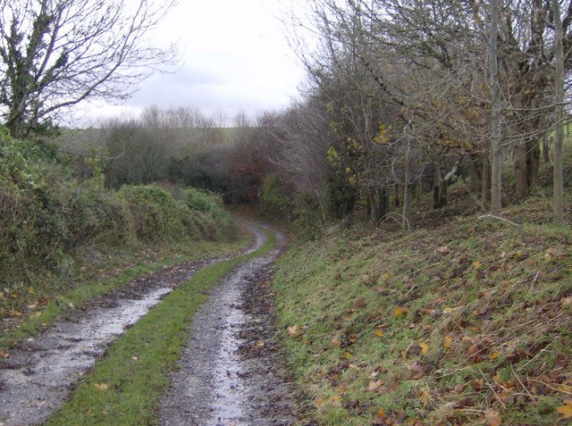 File:Bridleway north from Bincombe - geograph.org.uk - 621311.jpg