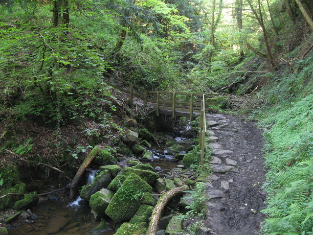 Burn and footbridge in Harsondale Cleugh - geograph.org.uk - 2074495