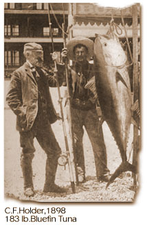 Charles Frederick Holder with his then record 183 pounds (83 kg) bluefin tuna catch, 1898. Charles f holder and tuna1898.jpg