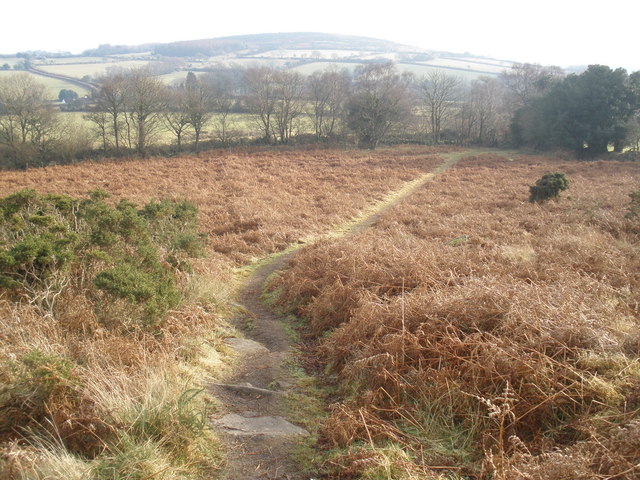 File:Cranbrook Down - geograph.org.uk - 1116030.jpg