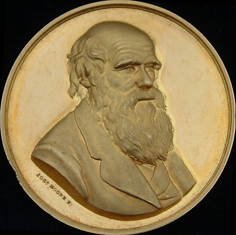 Медаль Дарвина — Википедия